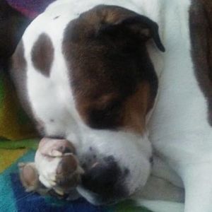 Meet your Posher, Kevin